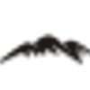 Black Hills Corporation