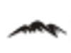 Black Hills Corporation