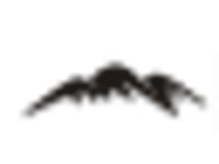 Black Hills Corporation