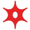 Murphy Oil Corporation