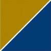 Precision Medicine Group