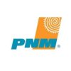 Public Service Company of New Mexico