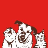 Stella & Chewy’s