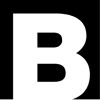 The Boldt Company